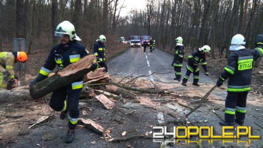 Blisko 500 interwencji strażaków w ciągu ostatniej doby!