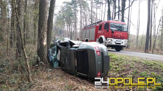 Kierowca Citroena zjechał z drogi i zderzył się z Volkswagenem