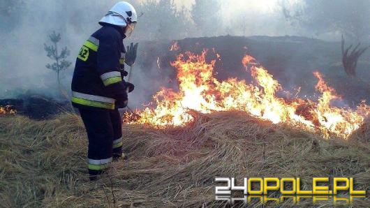 KWP Opole: Nie puszczaj wiosny z dymem