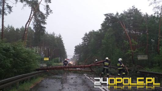 Pracowity wieczór opolskich strażaków po przejściu burz z gradem