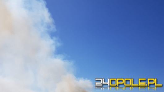 Trwa dogaszanie pożaru zboża przy obwodnicy północnej w Opolu
