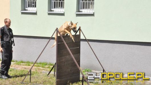 Najlepszy przewodnik psa służbowego na Opolszczyźnie i jego partner Hura