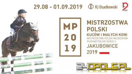 Już w ten weekend w Jakubowicach Mistrzostwa i Puchar Polski Kuców, Małych Koni i Dzieci