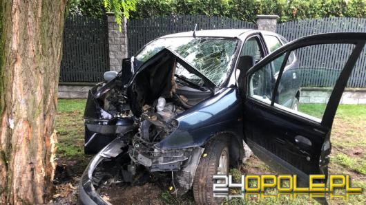 Renault Scenic wjechał w drzewo na ulicy Wilsona. Kierujący nietrzeźwy