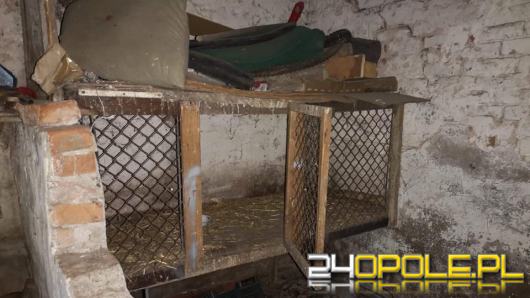 Pies zamknięty w klatce po królikach w chlewie. Interwencja TOZ w gminie Wołczyn. 