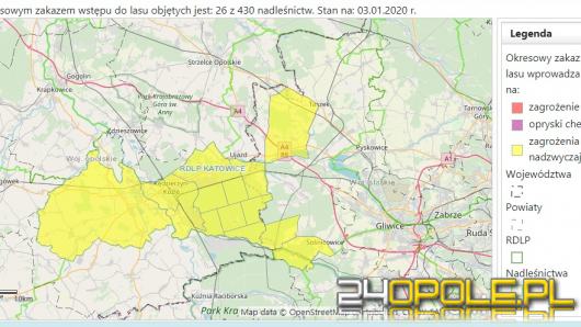 Wydano nadzwyczajny zakaz wstępu do lasu w obrębie Kędzierzyna-Koźla