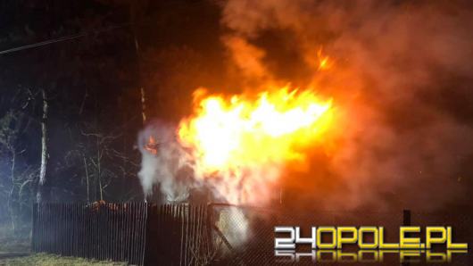 Pożar budynku gospodarczego w Zawadzkiem. Strażacy uratowali kury