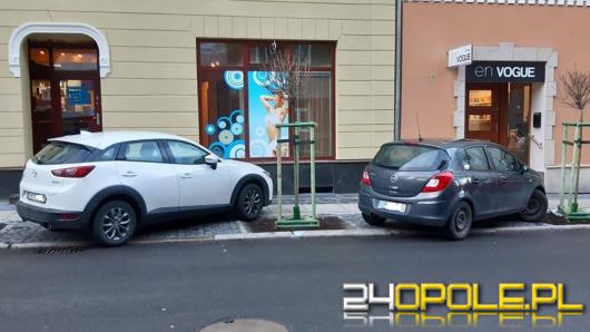 Mieszkańcy ulicy Kośnego są bezradni wobec samochodów niszczących tam nowe nasadzenia