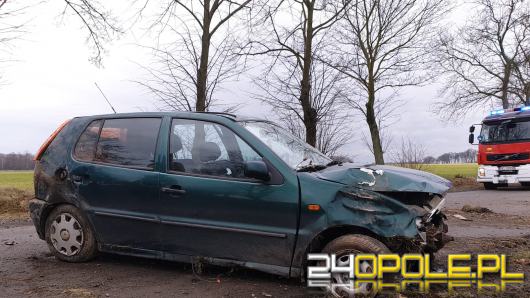 Kierowca uderzył w znak, potem w drzewo i wypadł na drogę. Był pijany