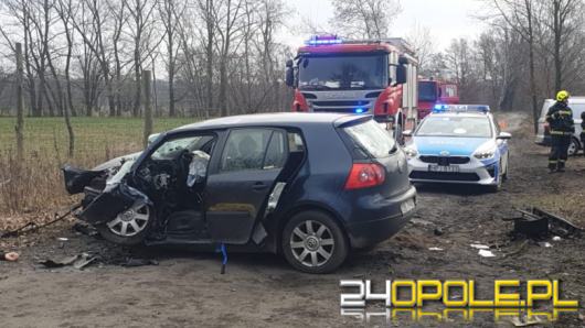 Śmiertelny wypadek w powiecie brzeskim. Auto uderzyło w drzewo