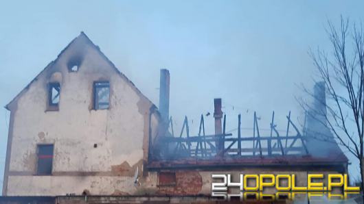 Pożar domu jednorodzinnego w gminie Biała. W akcji 11 zastępów straży
