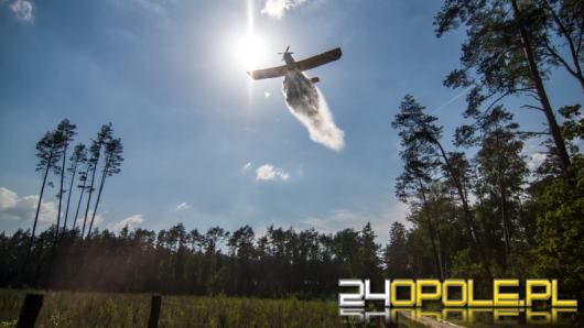 Duże zagrożenie pożarowe w lasach województwa opolskiego