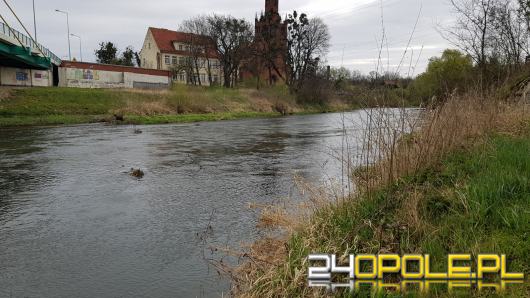 Bardzo niski stan wód w regionie. Na Nysie Kłodzkiej poziom spadł poniżej 30 cm