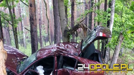 Kierujący Seatem wypadł z drogi i uderzył w drzewo