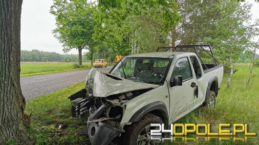 Kierowca osobówki podczas wyprzedzania uderzył w drzewo. Wypadek w gminie Murów