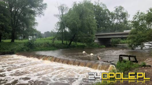 Wypadek na Małej Panwi w gminie Kolonowskie. Dwie osoby wypadły z kajaka