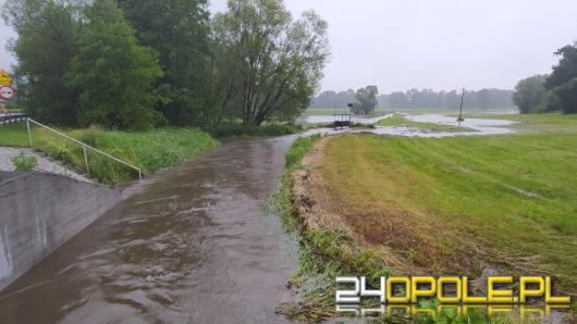 Informacja dotyczącą poziomu wód na Opolszczyźnie 