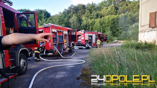 7 zastępów straży gasiło pożar łuski kakaowej