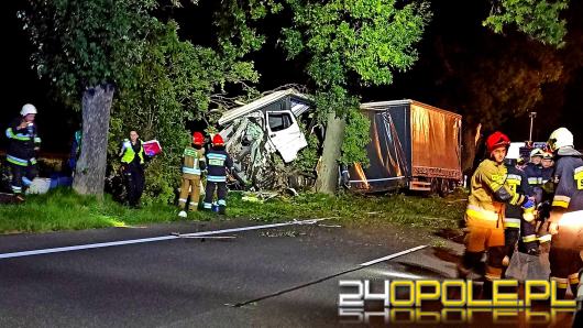 Samochód ciężarowy uderzył w drzewo. Śmiertelny wypadek w Sidzinie