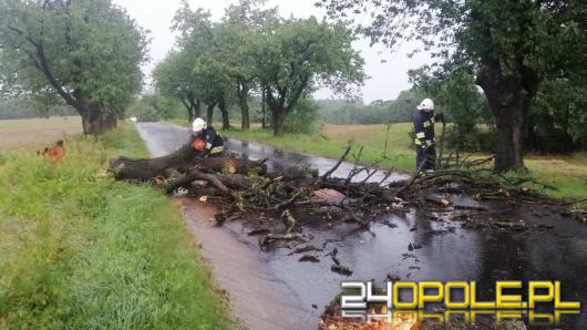 Strażacy odnotowali ponad 50 interwencji w związku z burzami na Opolszczyźnie 