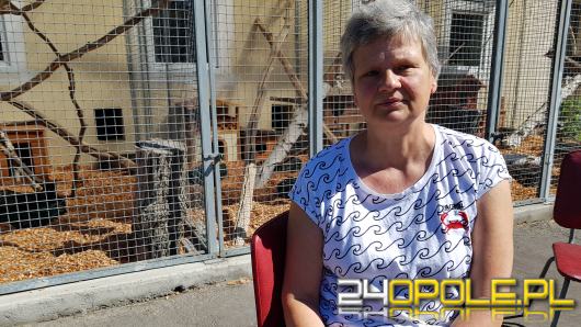 Dorota Skupińska - koty i psy z opolskiego schroniska czekają na swoje domy 