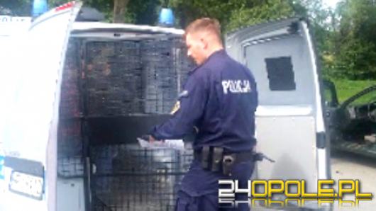 Obywatelskie ujęcia nietrzeźwych kierowców