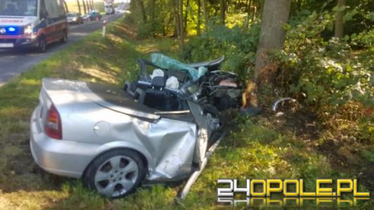 "Skasował" auto na drzewie - miał 3 promile