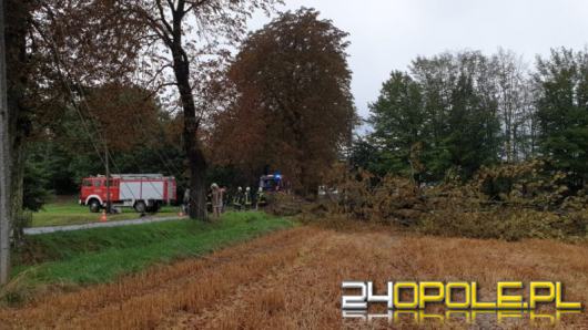 Strażacy odnotowali ponad 60 interwencji w związku z burzami