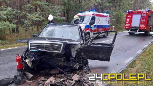 Wypadek na DW 463 Krasiejów - Kolonowskie