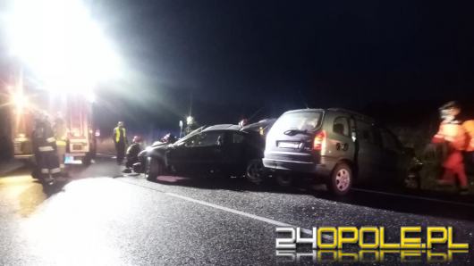 Śmiertelny wypadek na DK-11 - policja poszukuje świadków