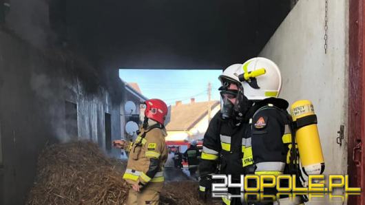 12 zastępów straży gasiło pożar chlewni w gminie Głogówek