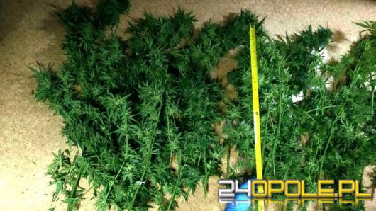 Narkotyki ukrył w przyczepie