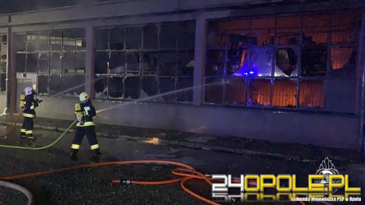 Płonie zakład produkcyjny w Głuszynie. Z ogniem walczy 28 zastępów straży