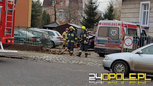 Niebezpieczne zdarzenie w Brzegu. Osobówka wjechała na posesję i uderzyła w budynek