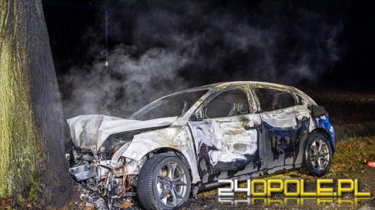 Ford uderzył w drzewo i stanął w płomieniach
