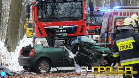 Wypadek na drodze Turawa-Marszałki. Samochód uderzył w drzewo