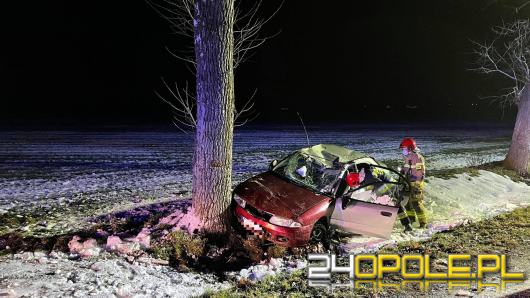 Ślisko na drogach. W województwie doszło do kilku zdarzeń drogowych