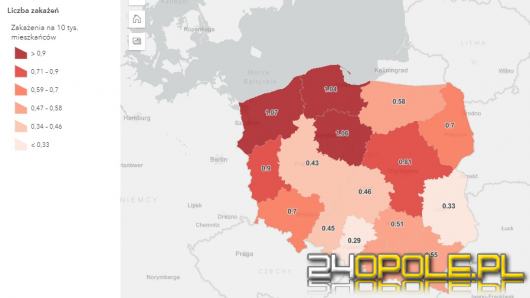 Koronawirus: Spadła liczba zakażeń. Bezpośrednio na covid-19 zmarło 9 osób