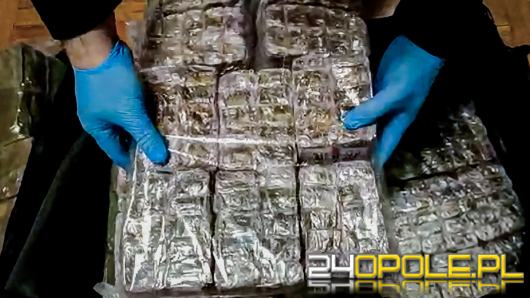 Akcja CBŚP w powiecie nyskim. Znaleziono 150 kg haszyszu