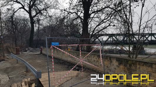 PKP PLK bezprawnie usunęła drzewa na Pasiece? Miasto zgłasza sprawę organom ścigania