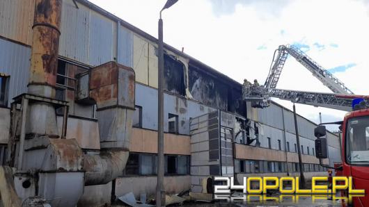 Ponad 3 godziny strażacy gasili płonącą halę produkcyjną w Brzegu