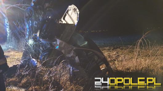 Kierująca Volkswagenem Caddy uderzyła w drzewo 