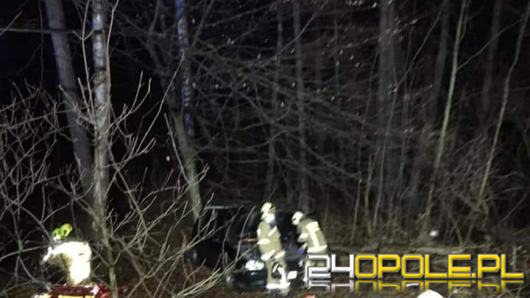 Samochód zjechał ze skarpy. Jedna osoba ranna 