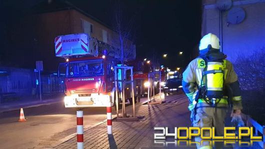 Dwie śmiertelne ofiary pożaru mieszkania w Opolu 