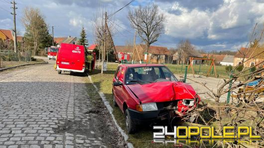 Kobieta wyjechała z podwórka i zakończyła podróż po 100 metrach - na drzewie