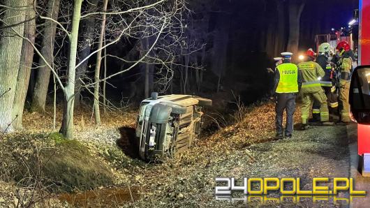 Twierdził, że na drogę wybiegły dwie sarny. Jechał pod wpływem alkoholu