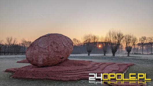 Belgijska organizacja szuka potomków zmarłego żołnierza z Kędzierzyna-Koźla