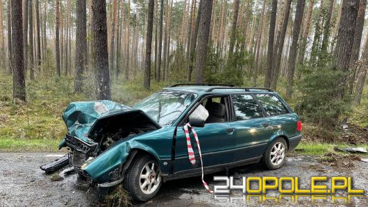 Kierowca Audi uderzył w drzewo i uciekł z miejsca wypadku