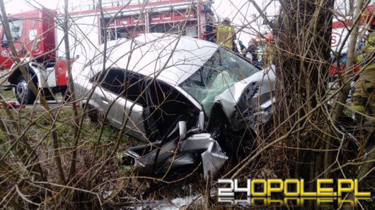 Pijany kierowca uderzył w drzewo. Pasażerka zmarła w szpitalu
