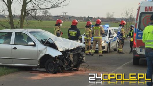 Kierująca skodą uderzyła w drzewo. Wypadek w Dębskiej Kuźni